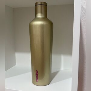 NEW! Corkcicle Canteen Water Bottle